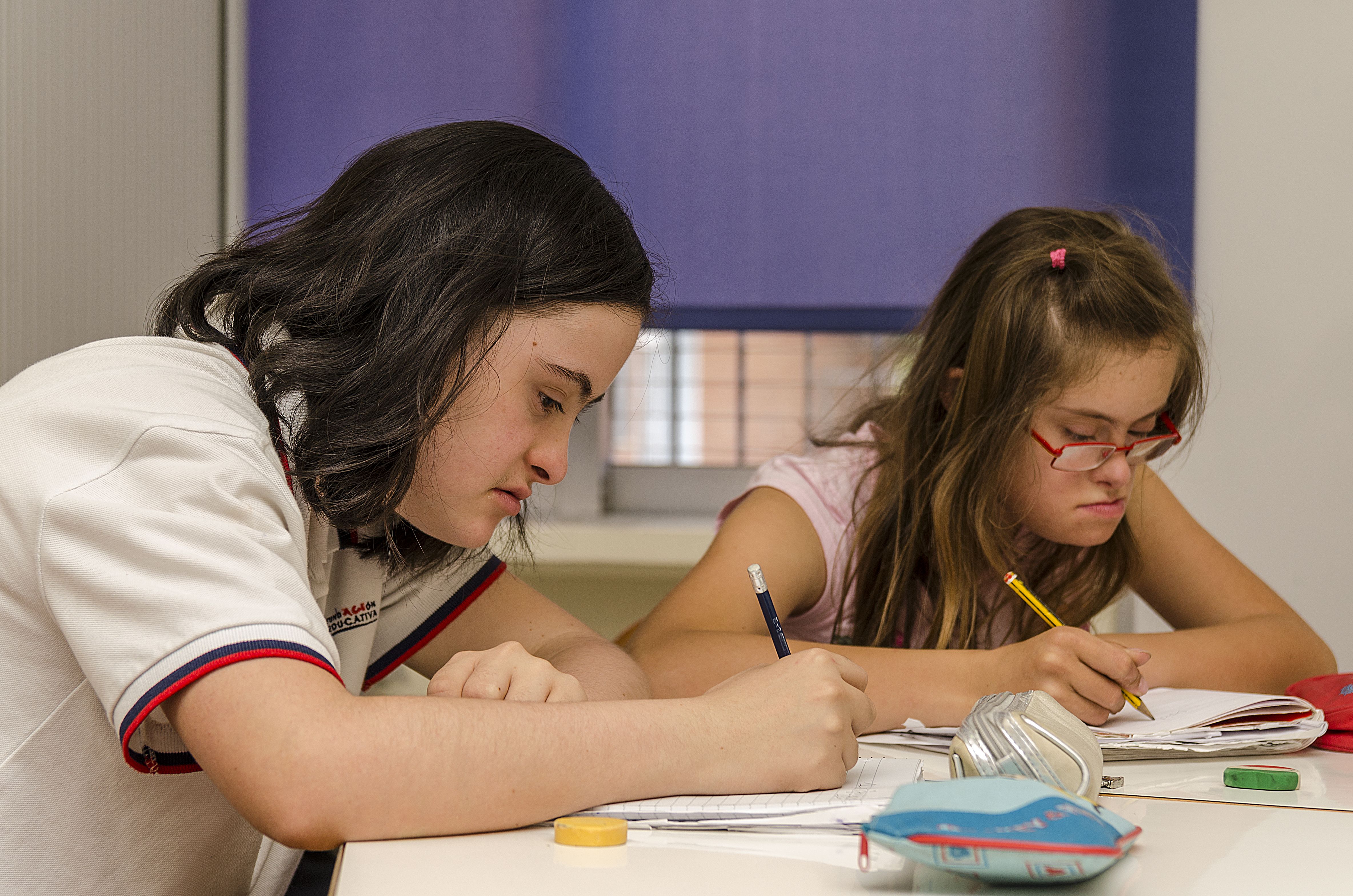 Nuevo decreto de equidad e inclusión educativa