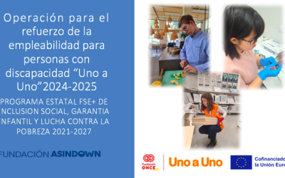 PROYECTO UNO A UNO PIN DUAL