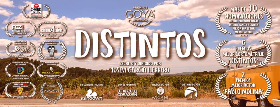 Programa de sensibilización: Play Inclusion y Distintos educa